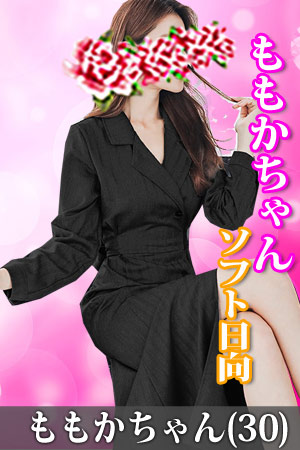 �f���w���\�t�g���� �����������